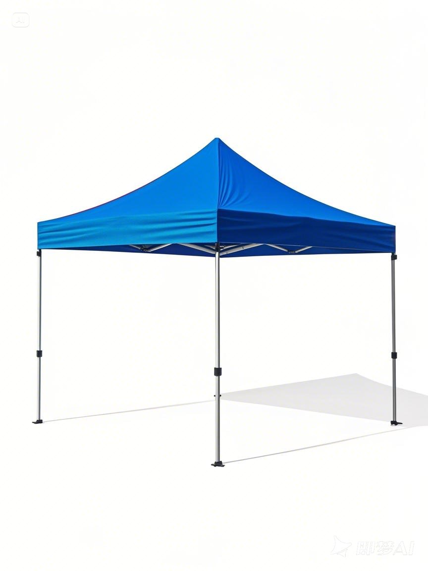 DGCANOPY 10x10ft Instant Canopy Tent for Outdoor Events Commercial Pop up Canopies with Heavy Duty Roller Bag,Bonus 4 Canopy Sand Bags