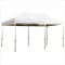 DGCANOPY 3m*6m Basic Canopy Top Cover Only